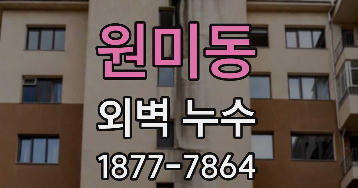 원미동 외벽 누수