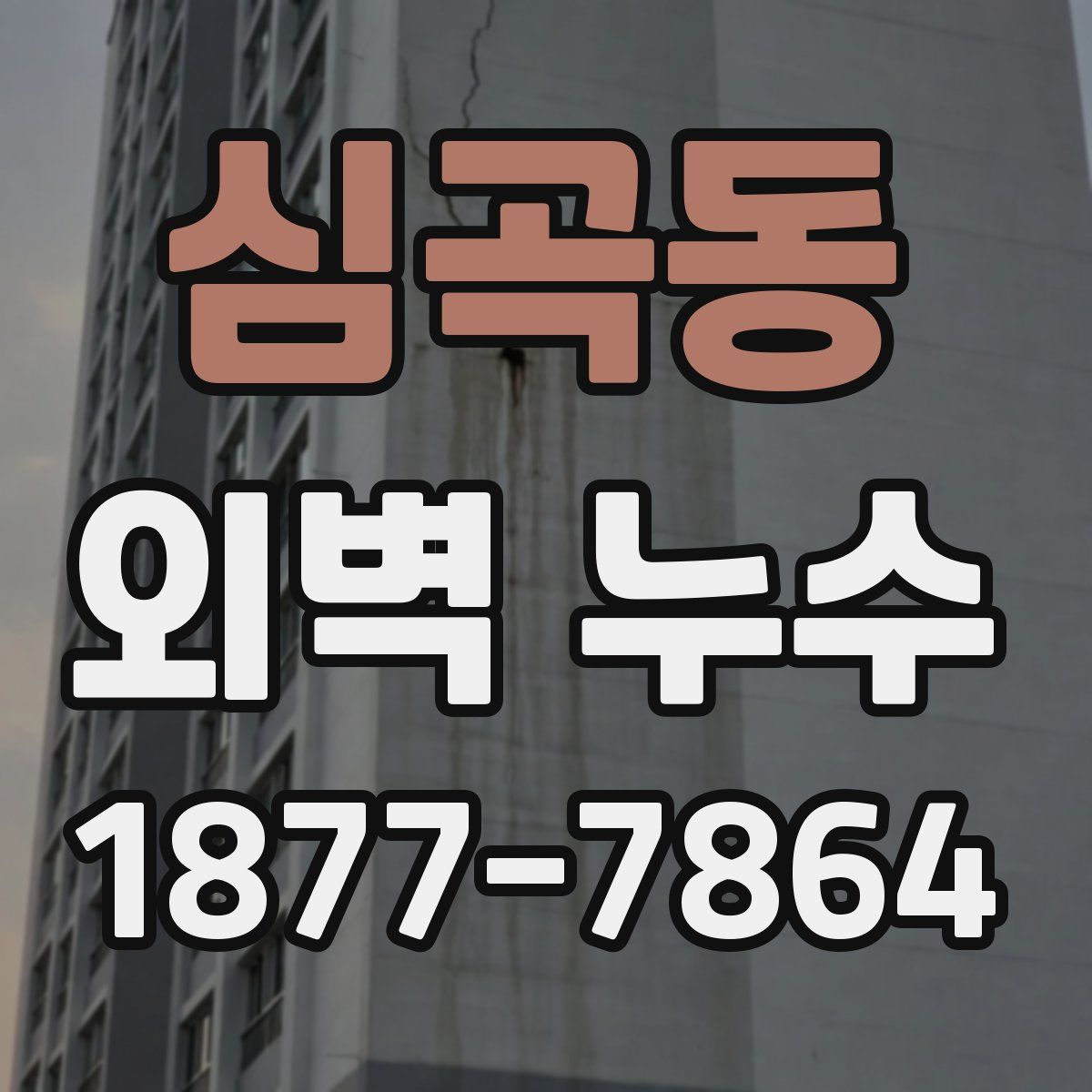 심곡동 외벽 누수