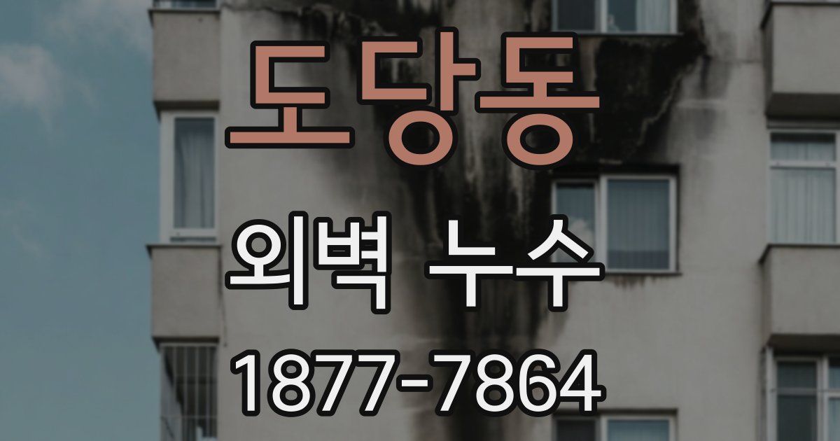 도당동 외벽 누수