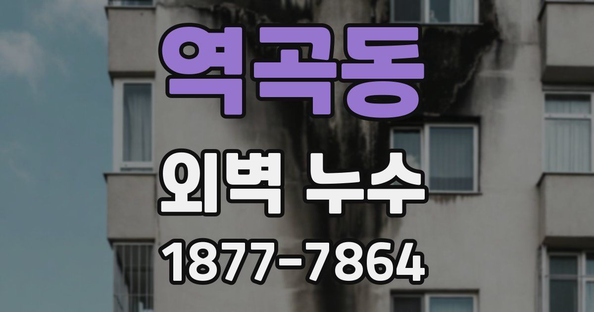 역곡동 외벽 누수