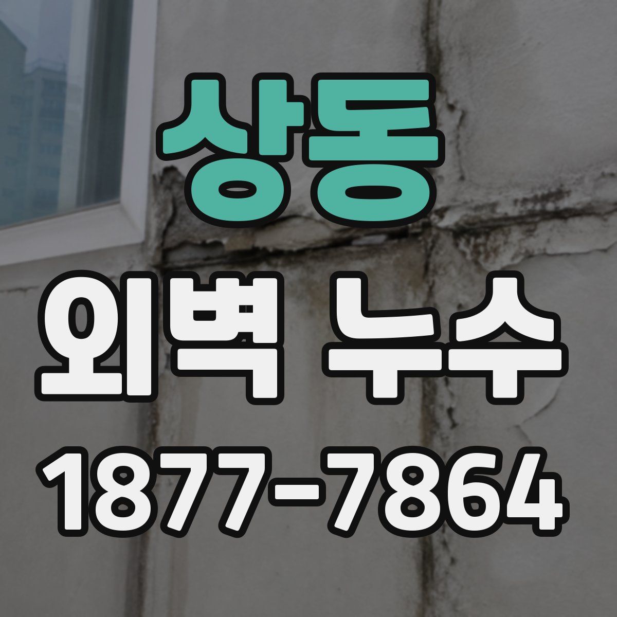 상동 외벽 누수