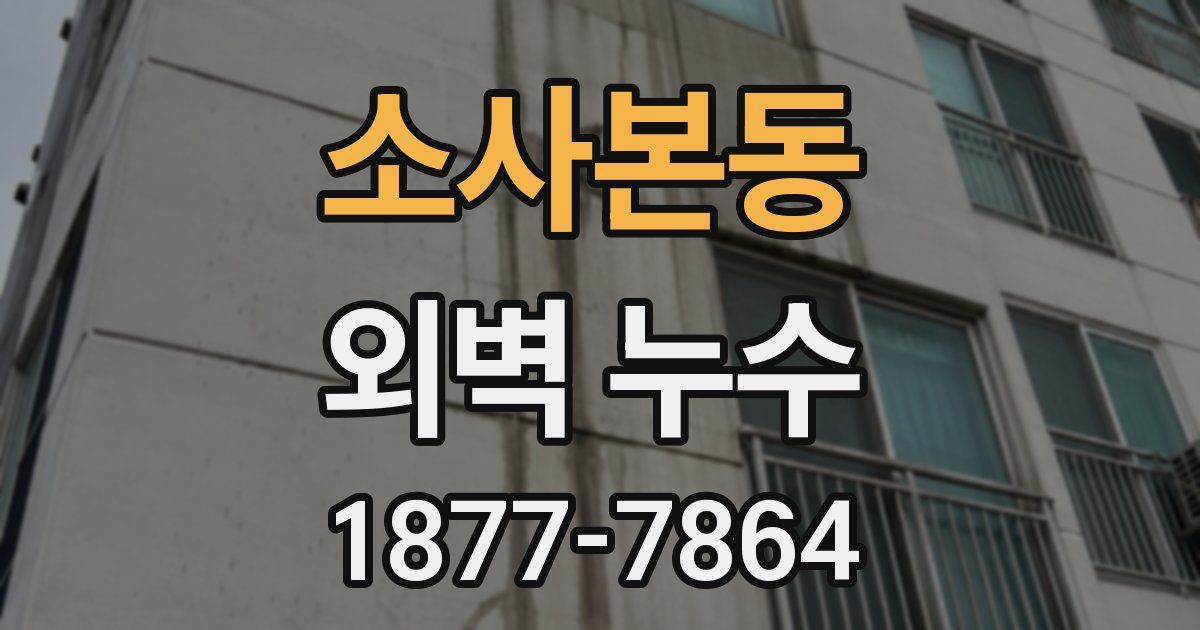 소사본동 외벽 누수