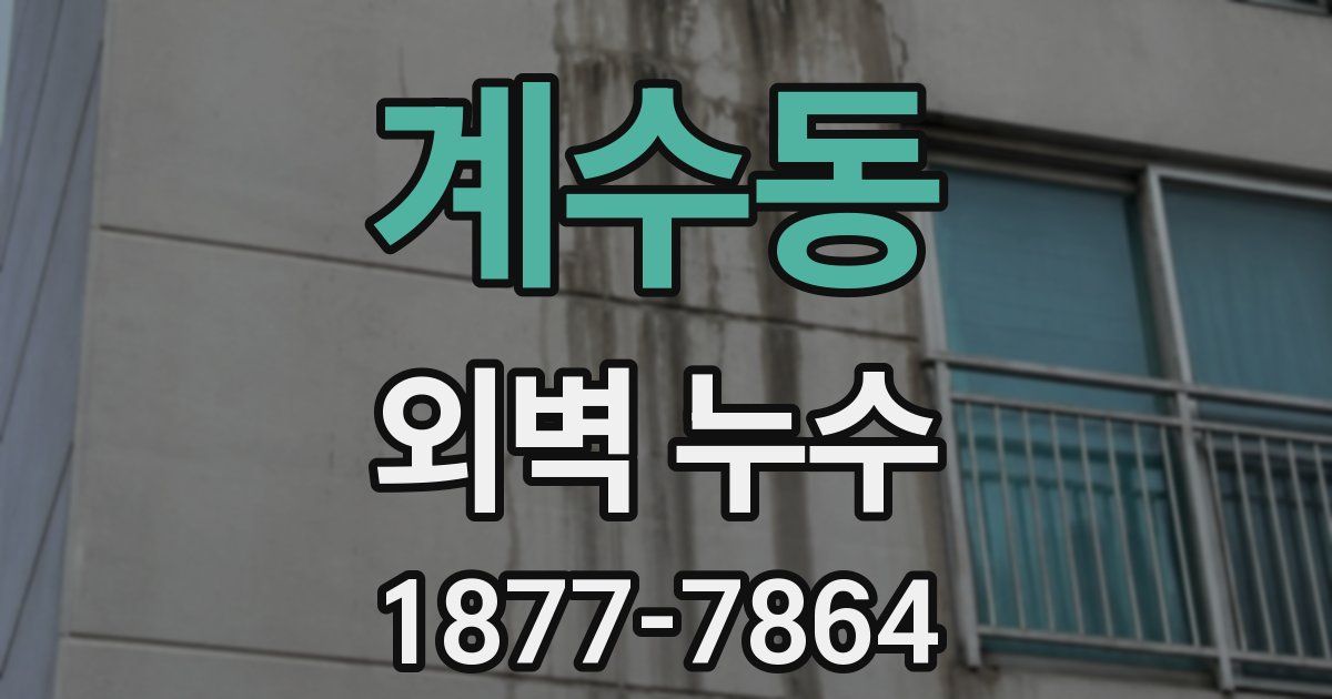 계수동 외벽 누수