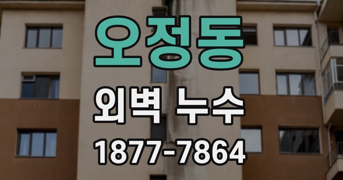 오정동 외벽 누수