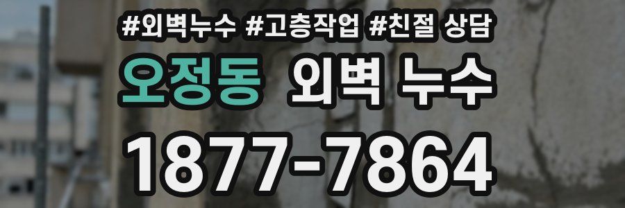 오정동 외벽 누수