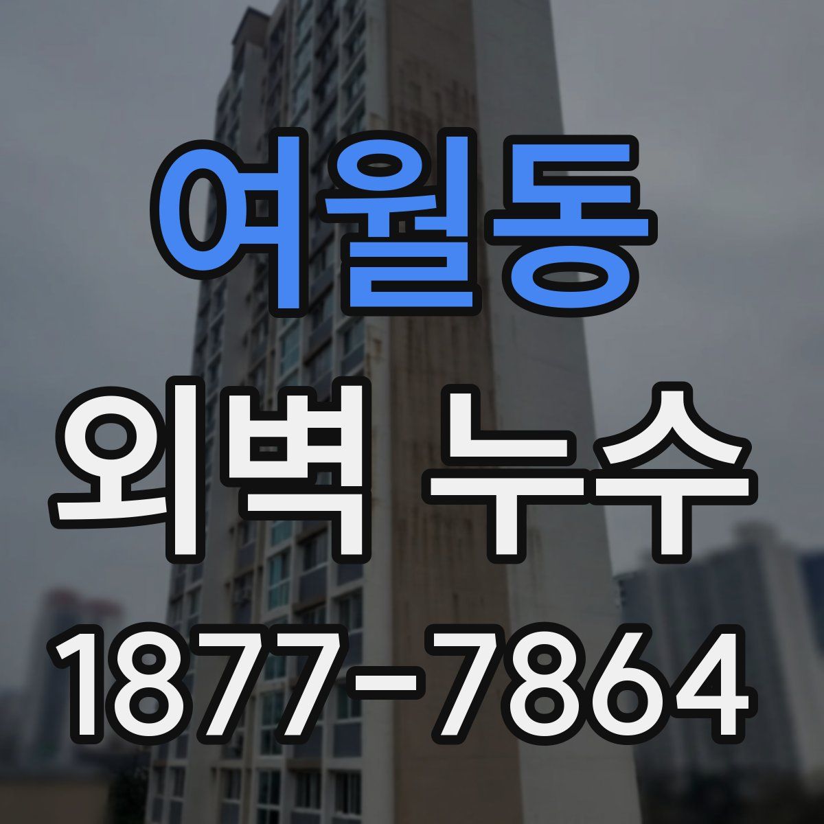 여월동 외벽 누수