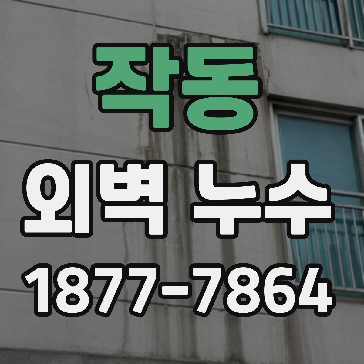작동 외벽 누수