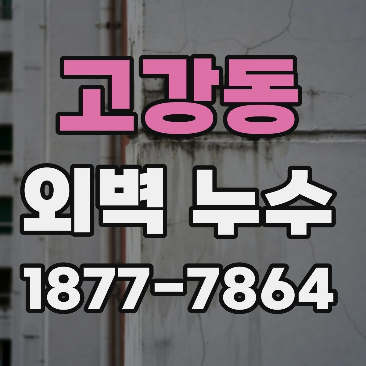 고강동 외벽 누수 사례로 보는 보수 우선순위