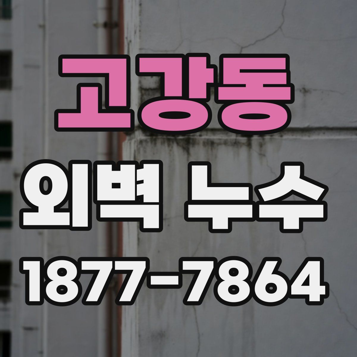 고강동 외벽 누수