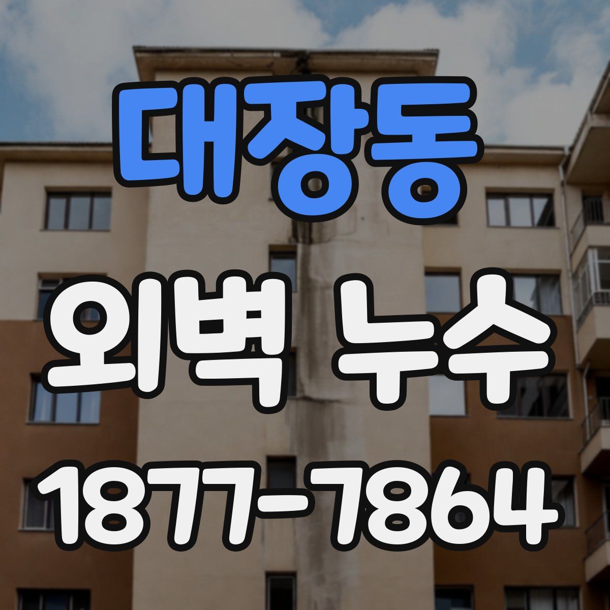 대장동 외벽 누수