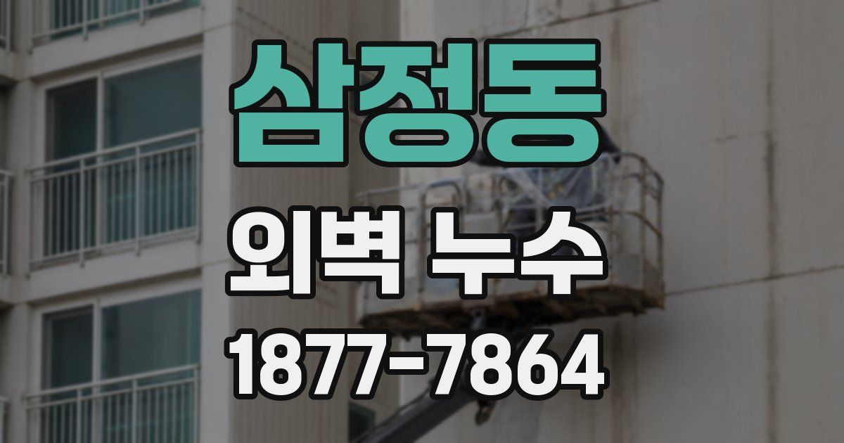 삼정동 외벽 누수