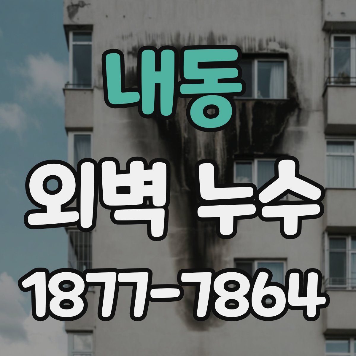 내동 외벽 누수