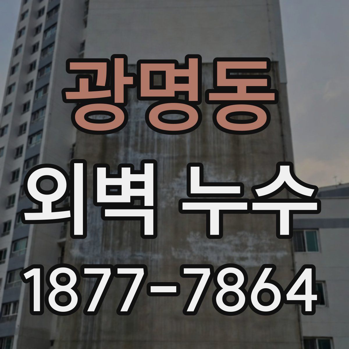 광명동 외벽 누수