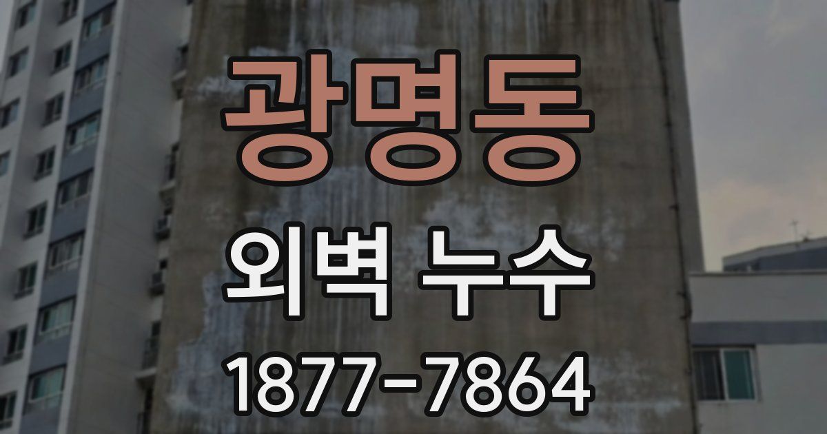 광명동 외벽 누수