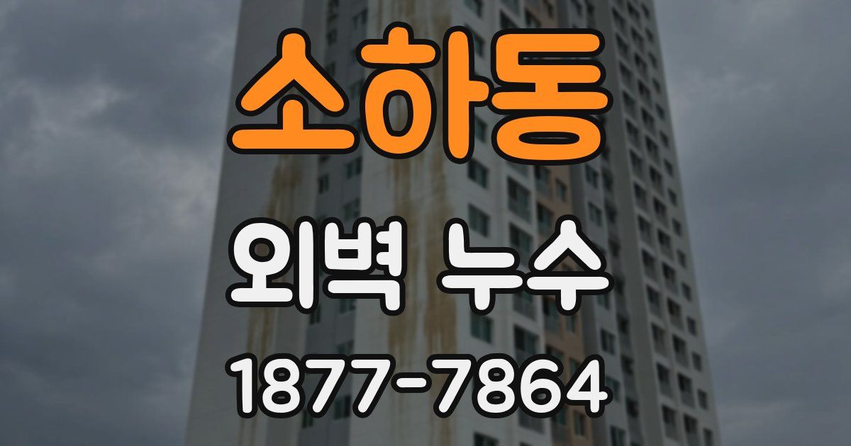 소하동 외벽 누수