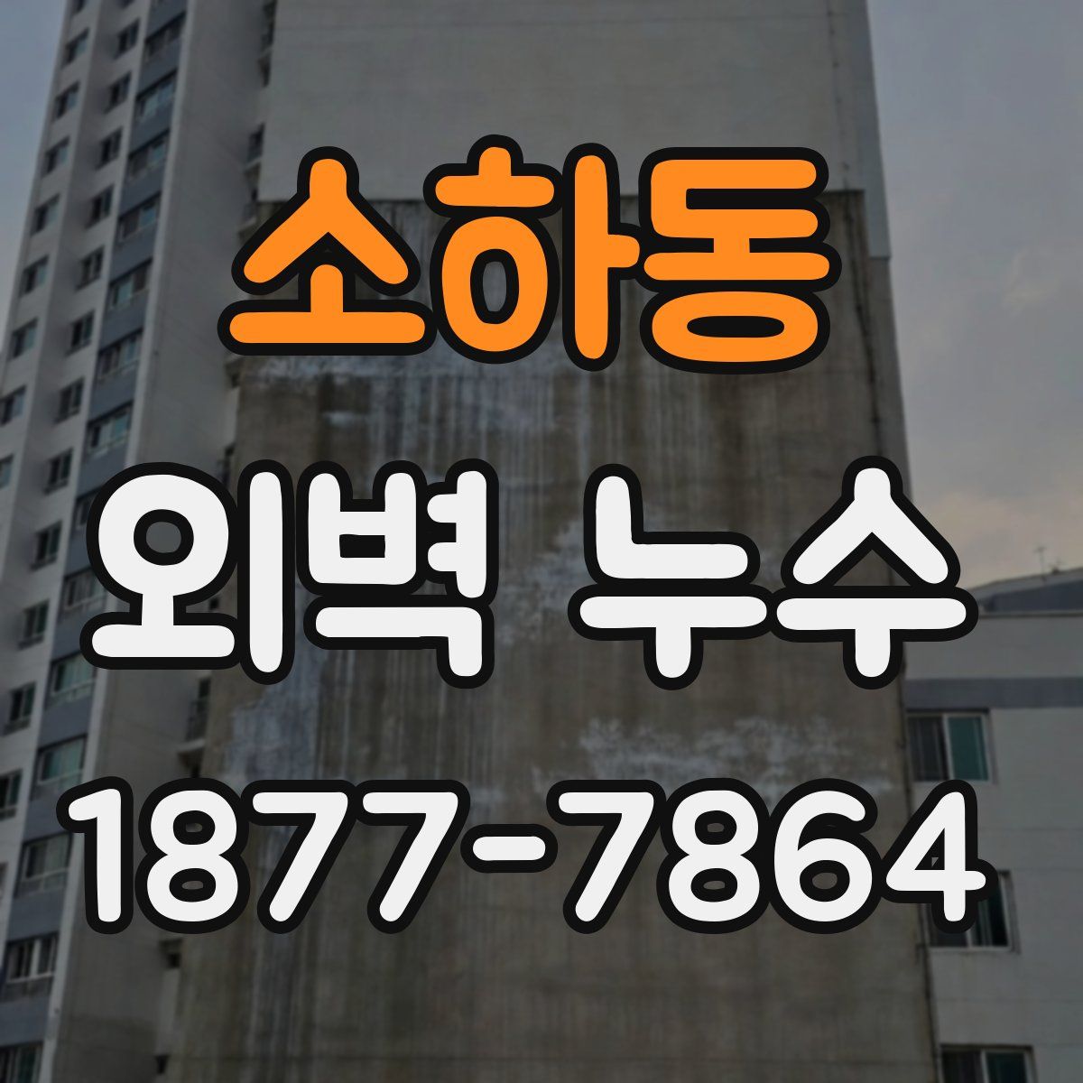 소하동 외벽 누수