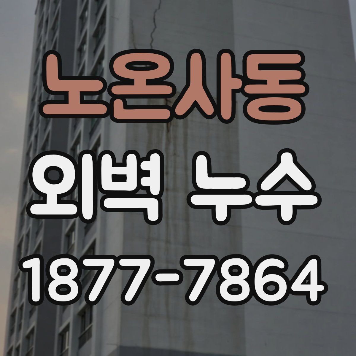 노온사동 외벽 누수 발생 후 보수 범위 결정 기준