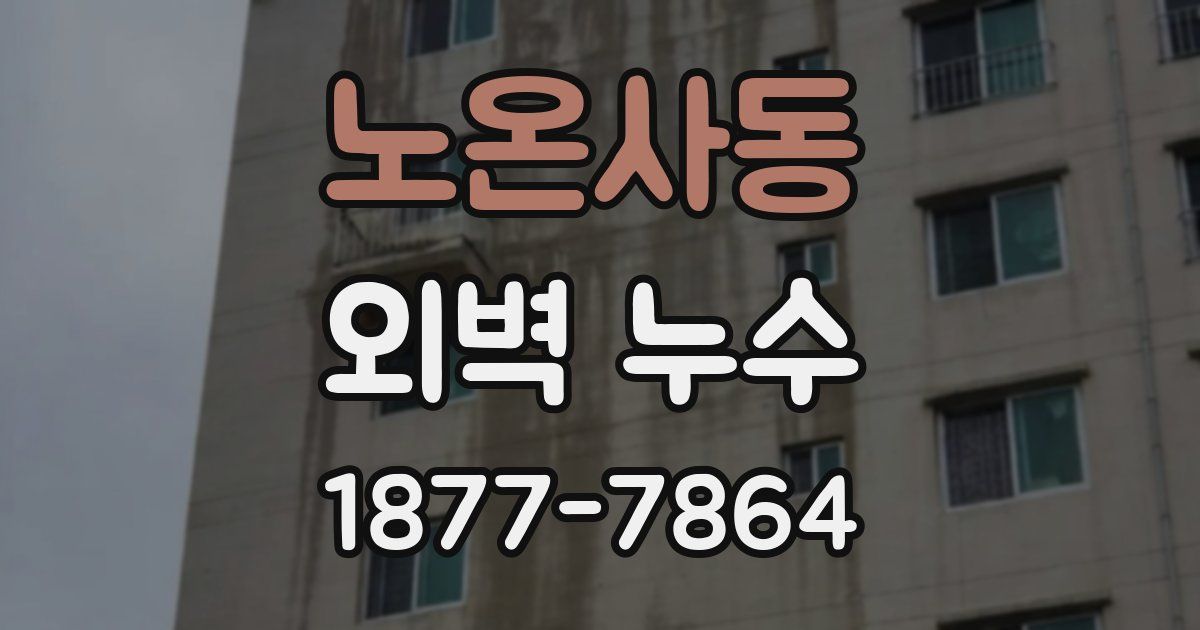 노온사동 외벽 누수