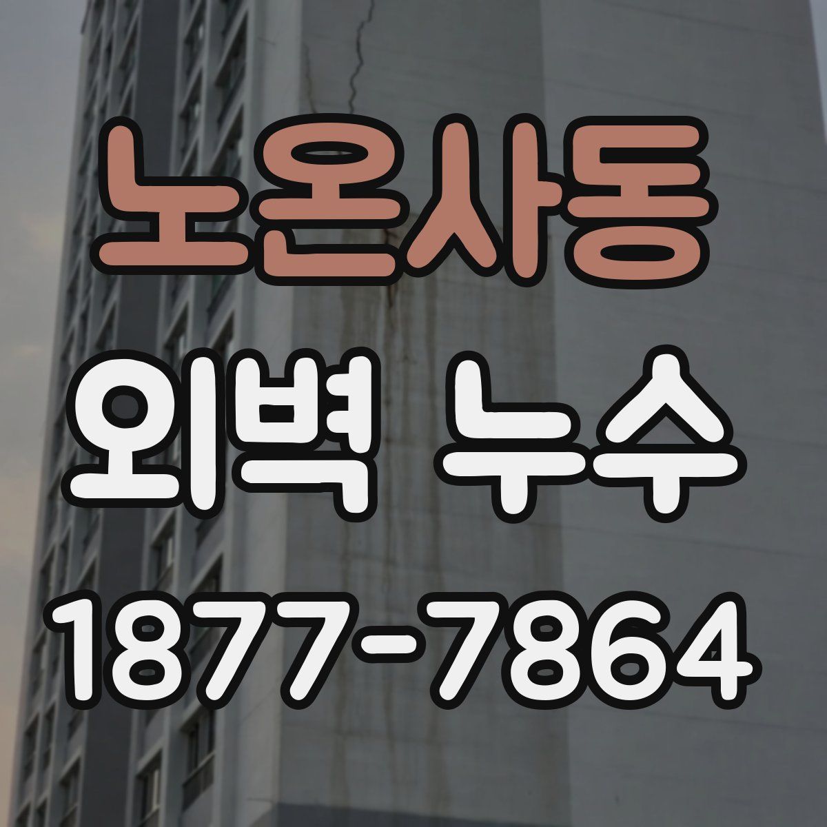노온사동 외벽 누수