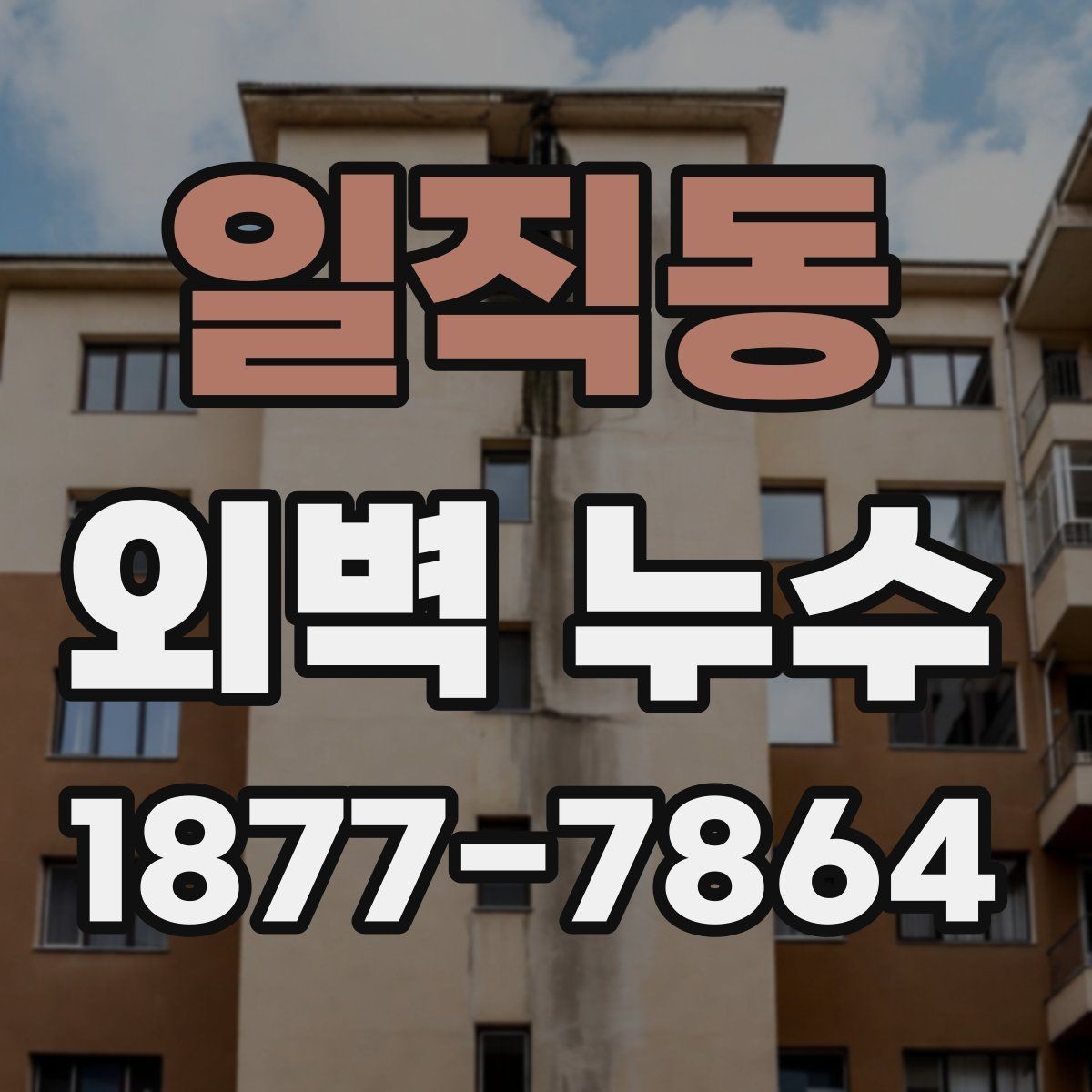 일직동 외벽 누수 예방을 위한 마감재 점검
