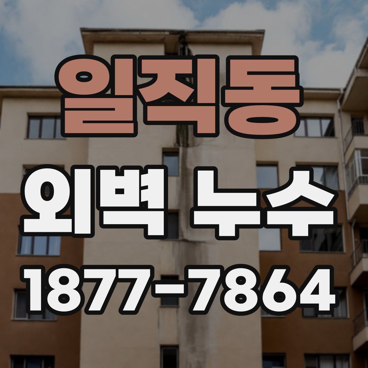 일직동 외벽 누수