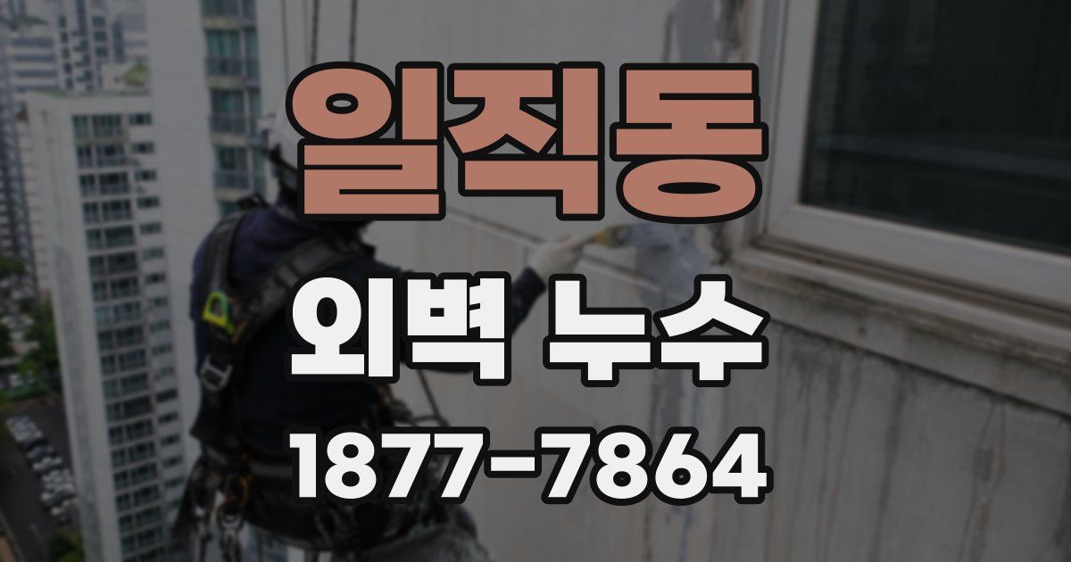 일직동 외벽 누수