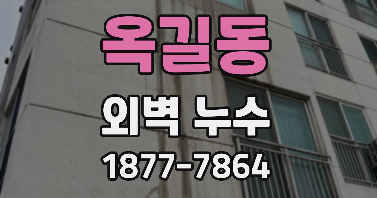 옥길동 외벽 누수