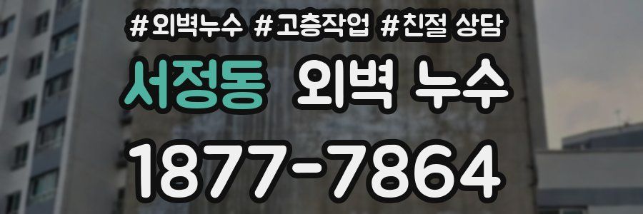 서정동 외벽 누수
