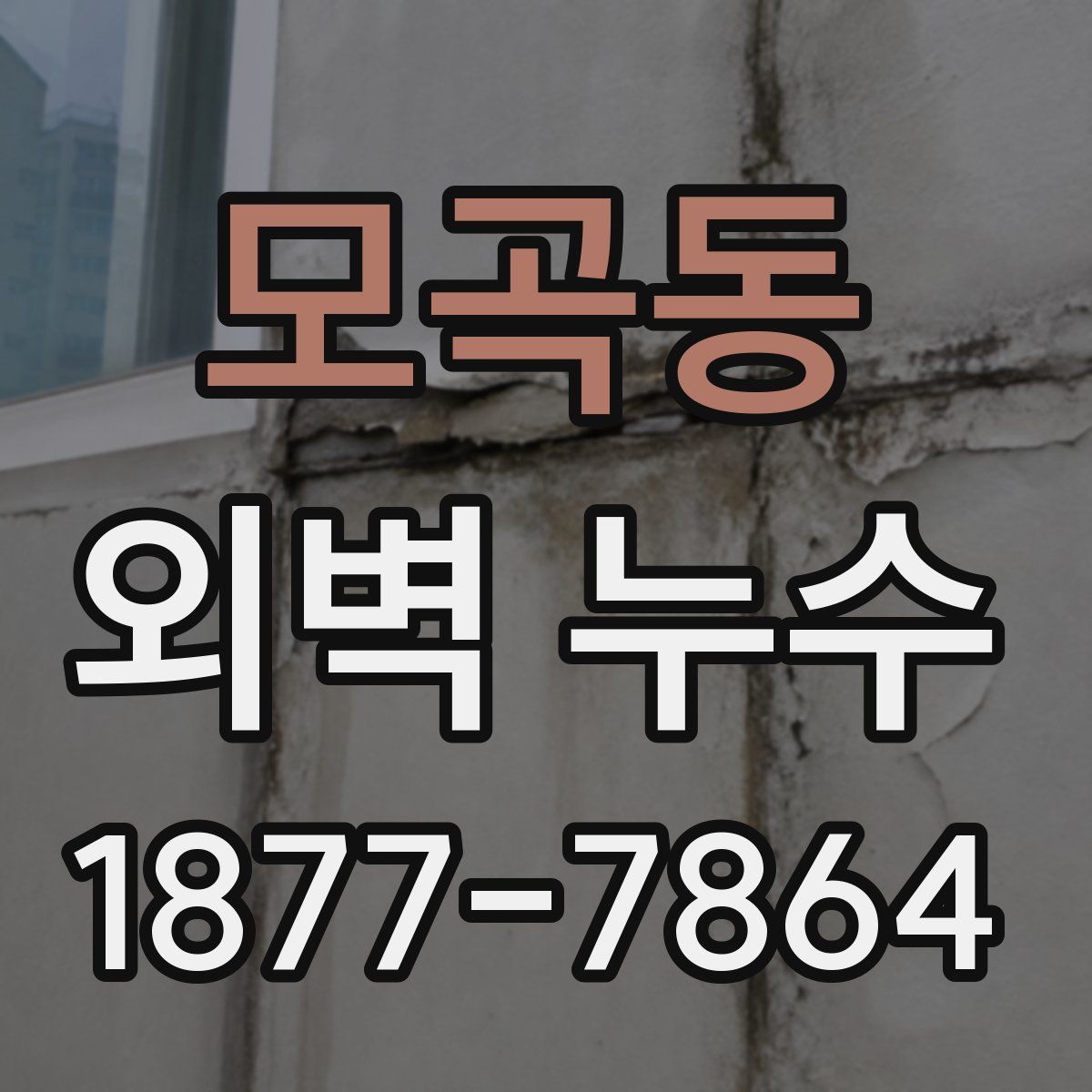 모곡동 외벽 누수