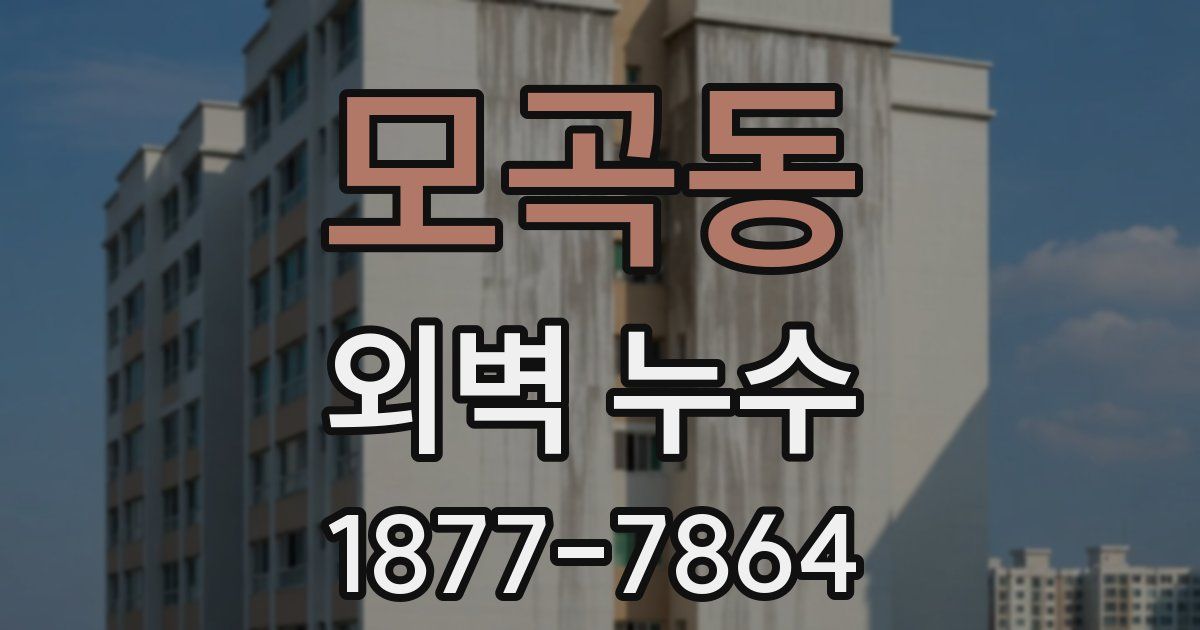 모곡동 외벽 누수