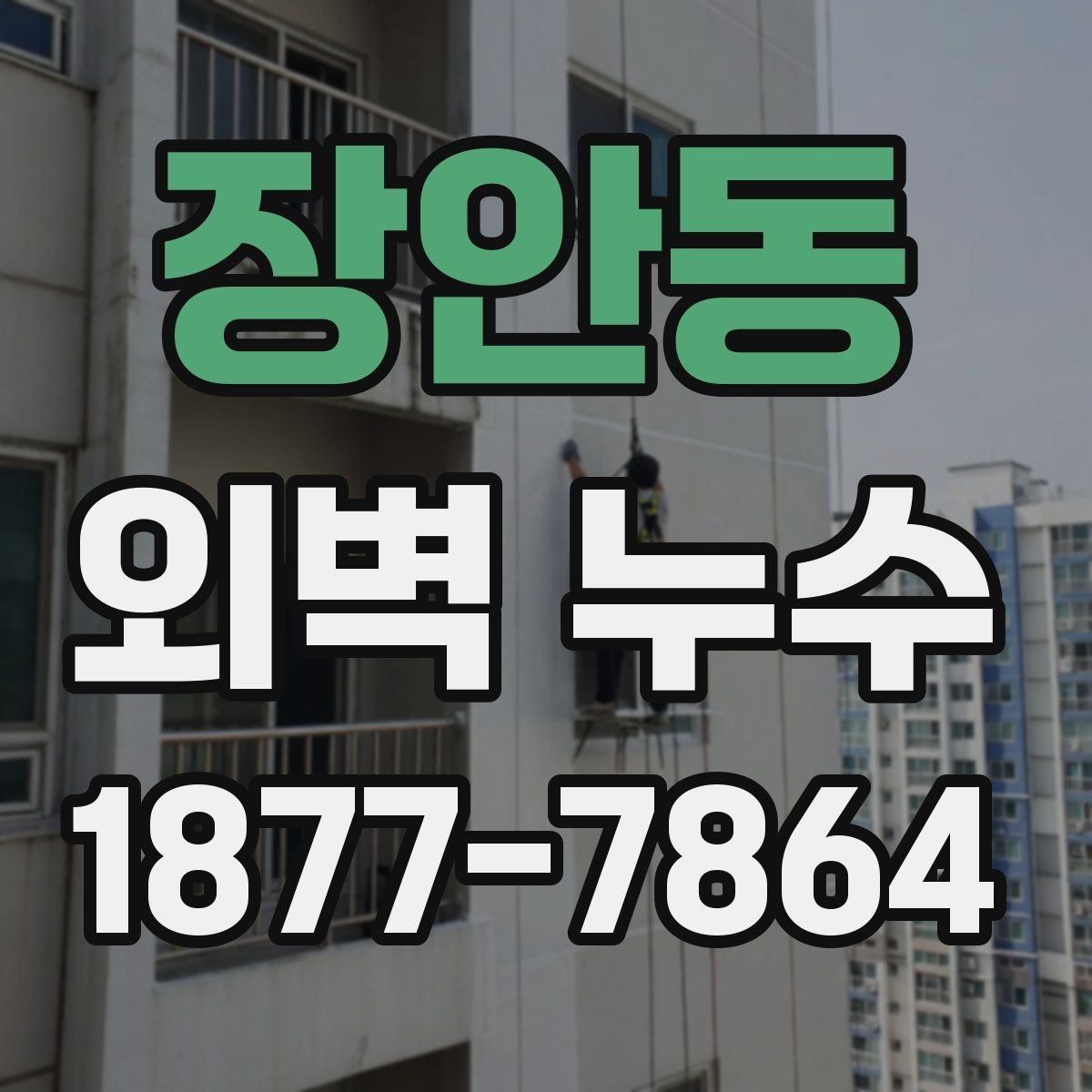 장안동 외벽 누수 진단이 어려운 이유