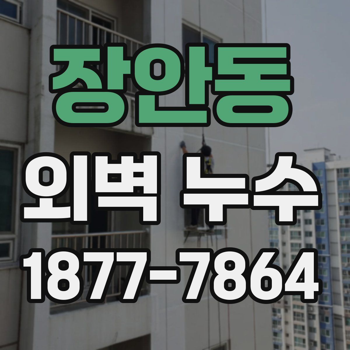장안동 외벽 누수