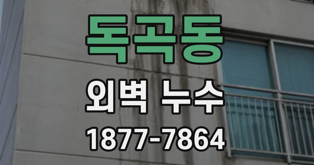 독곡동 외벽 누수