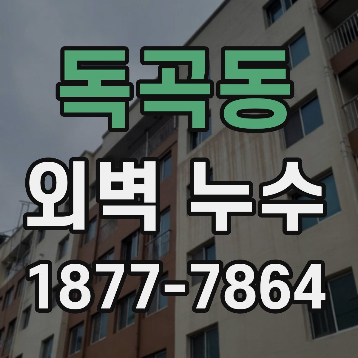 독곡동 외벽 누수