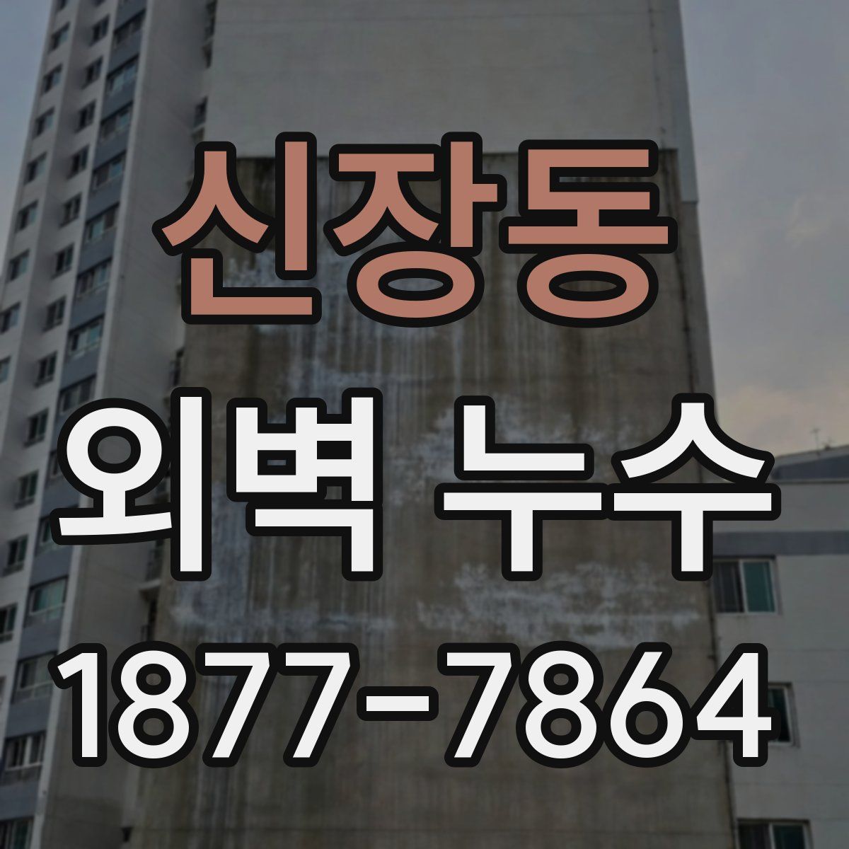 신장동 외벽 누수
