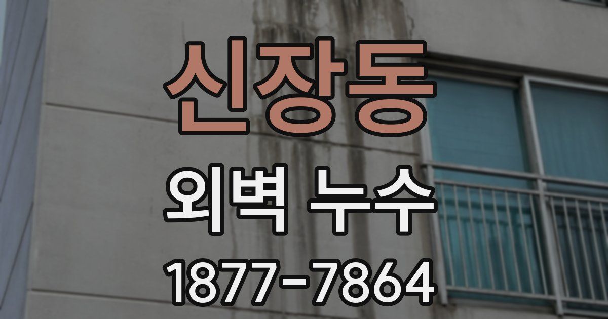 신장동 외벽 누수