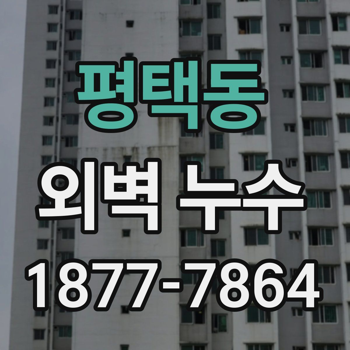 평택동 외벽 누수
