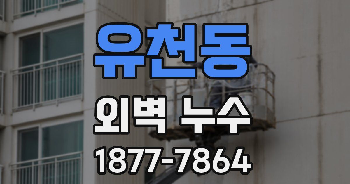 유천동 외벽 누수