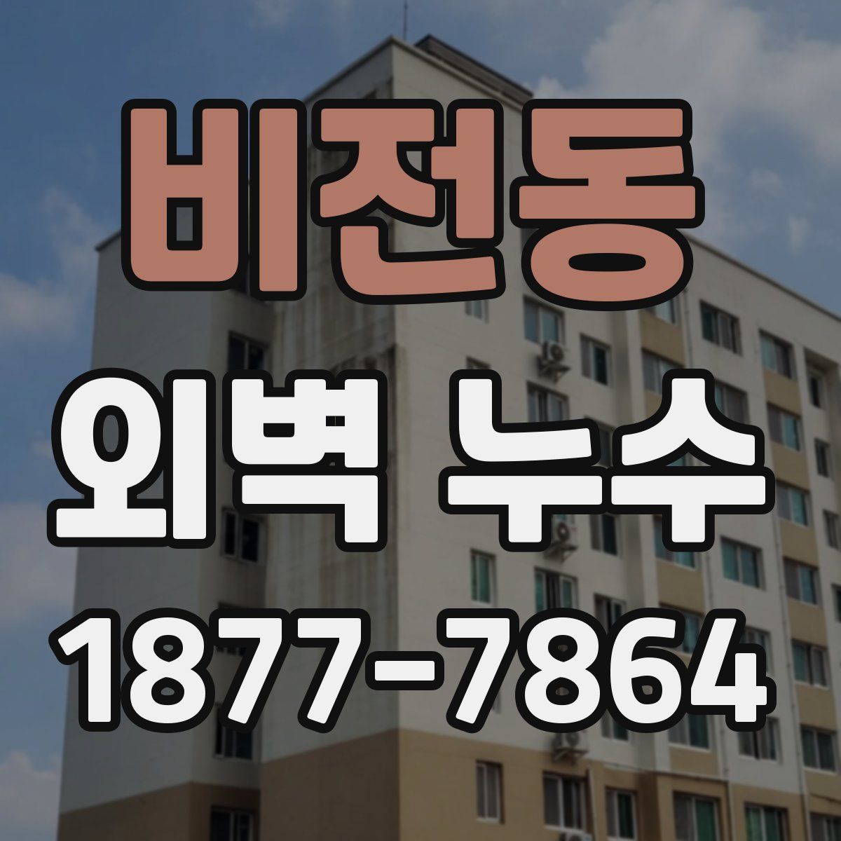 비전동 외벽 누수