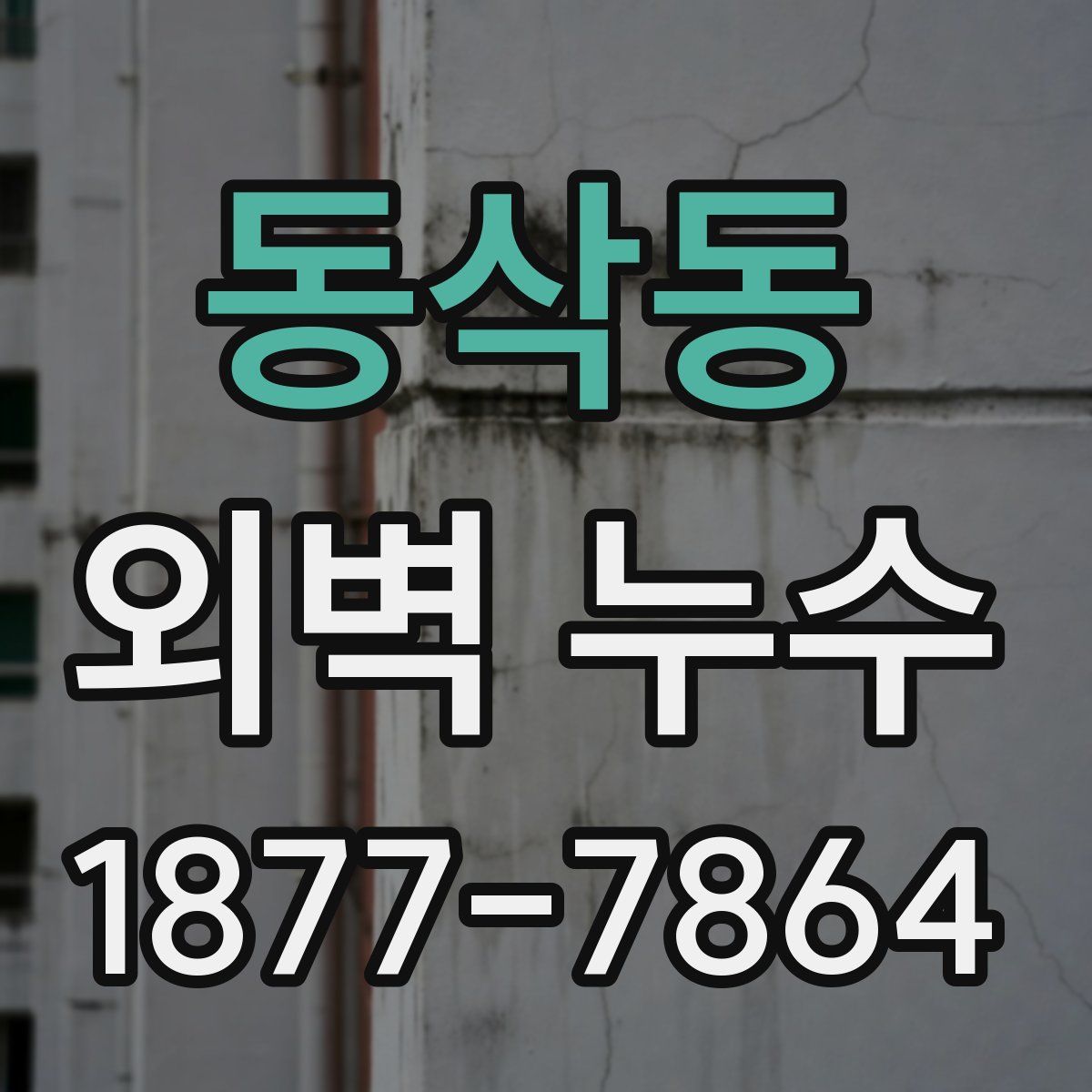 동삭동 외벽 누수