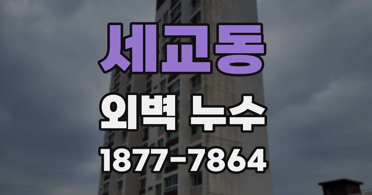 세교동 외벽 누수