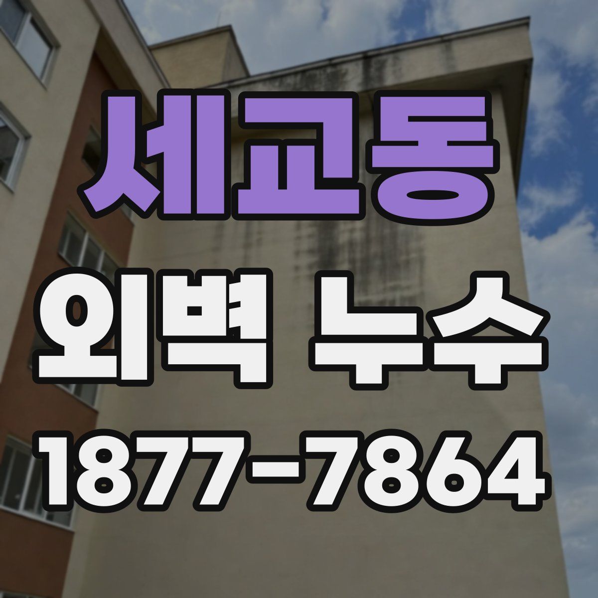 세교동 외벽 누수