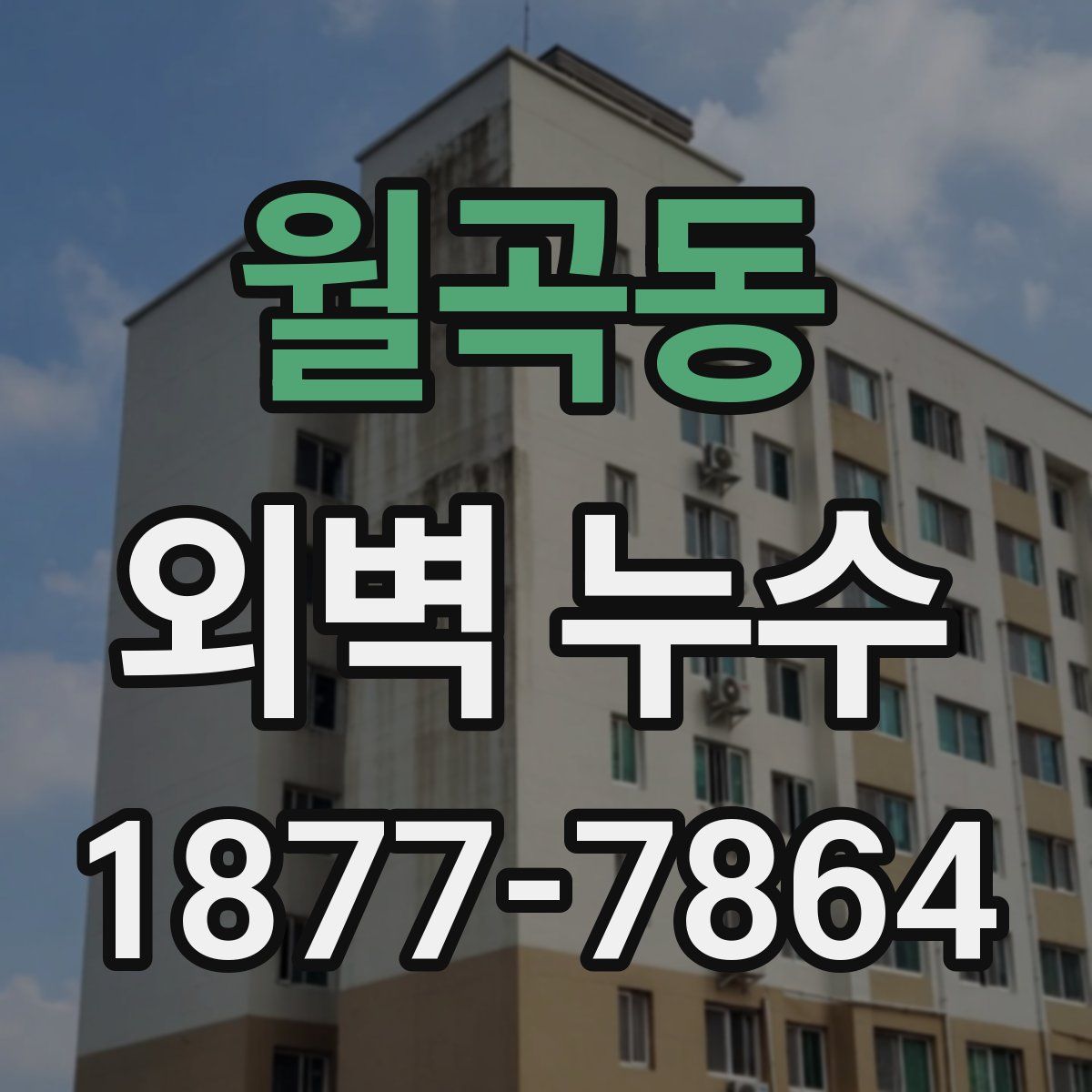 월곡동 외벽 누수