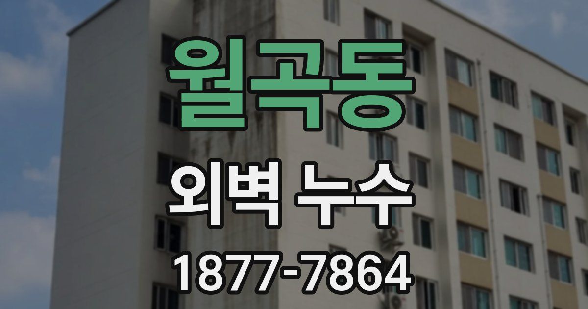월곡동 외벽 누수