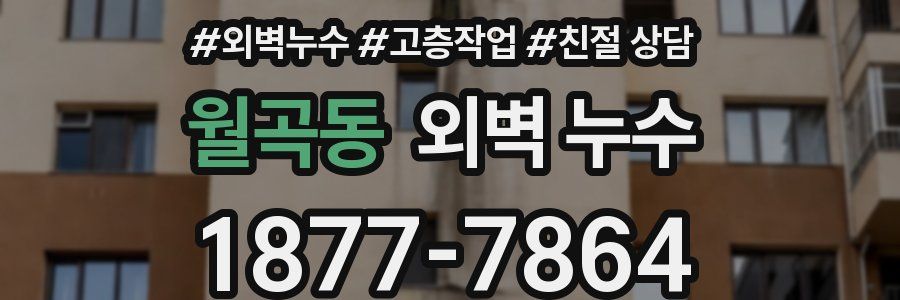 월곡동 외벽 누수