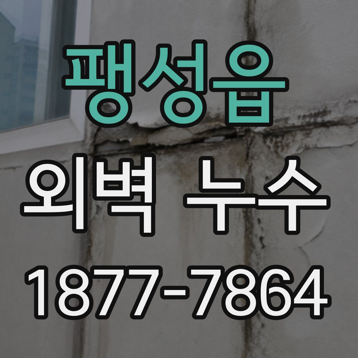 팽성읍 외벽 누수
