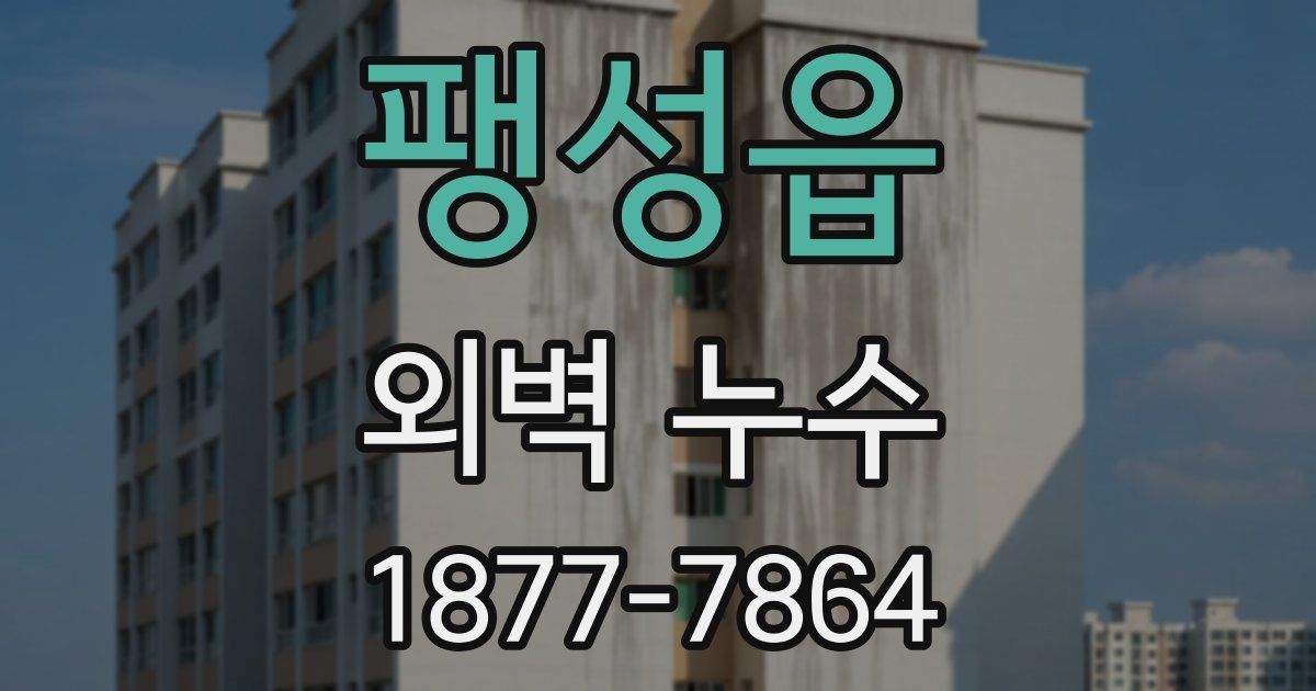 팽성읍 외벽 누수