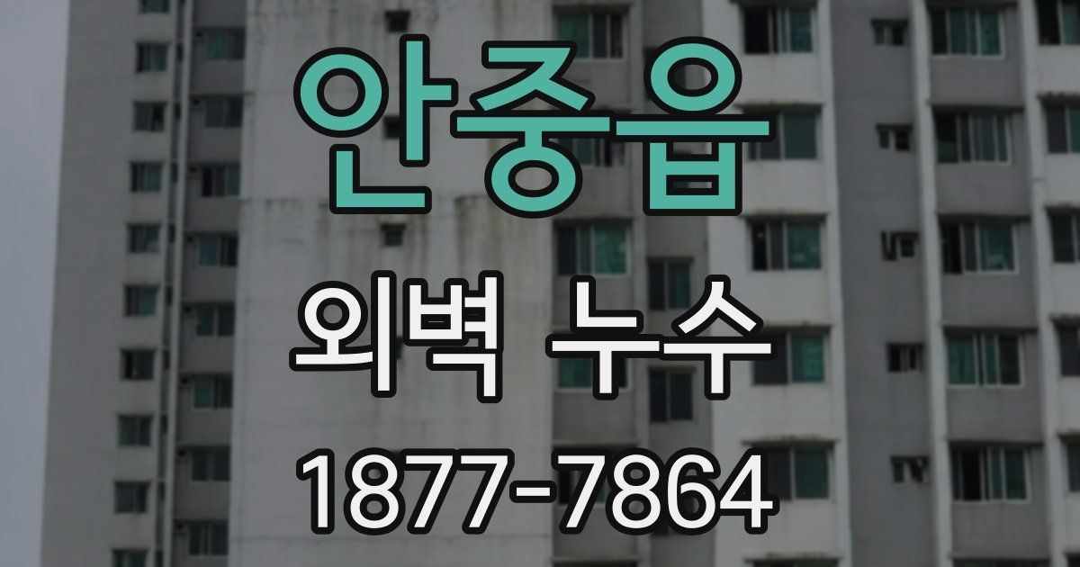 안중읍 외벽 누수