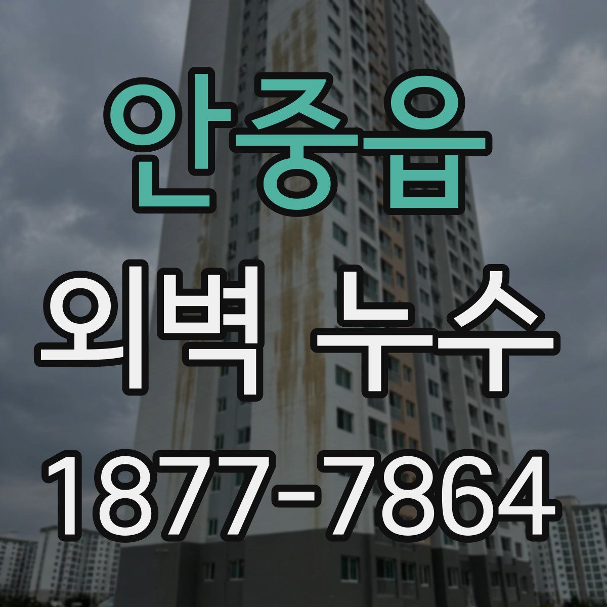 안중읍 외벽 누수