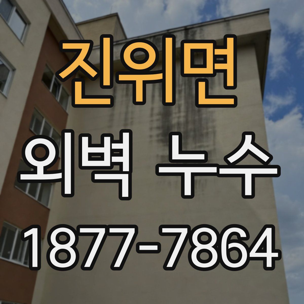 진위면 외벽 누수